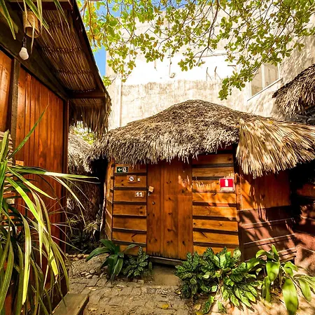 Raiz Kite Cabana-3