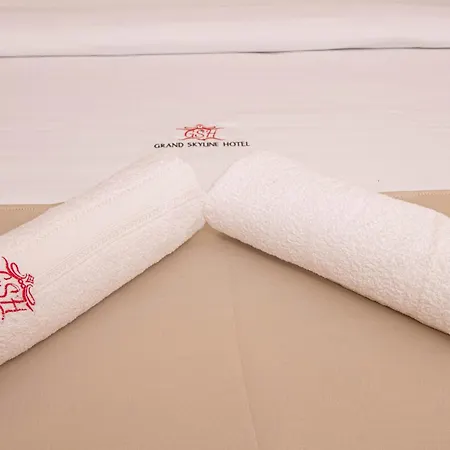 Grand Skyline Hotel-2