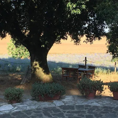 B&B il soffio di Eolo-2