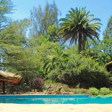 Wildebeest Eco Camp-3