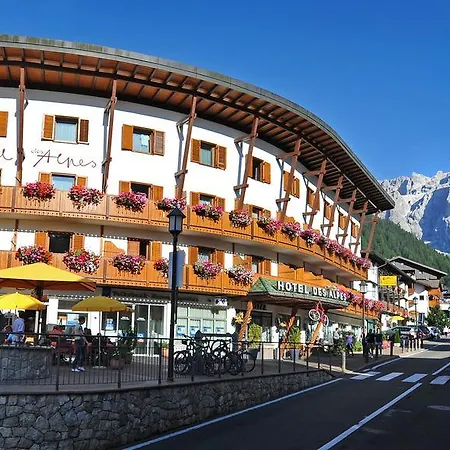 Hotel Des Alpes-3