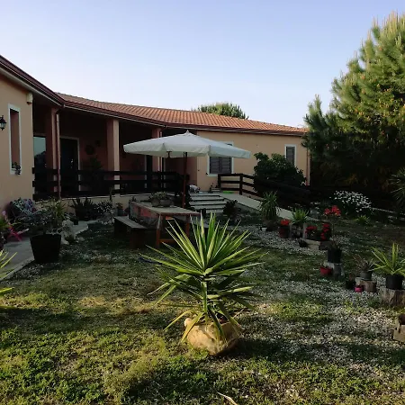 Il Lentischio del Sinis-3