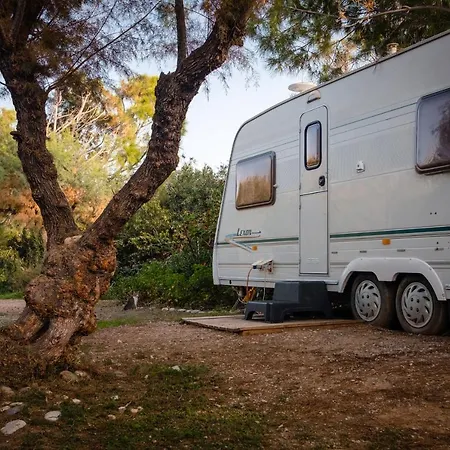 Camping Elizabeth-2