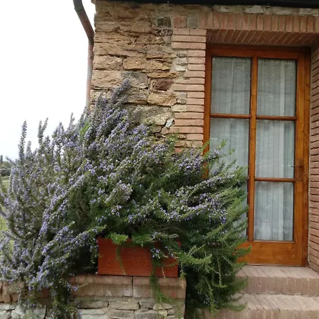 Agriturismo Villa Buoninsegna-2