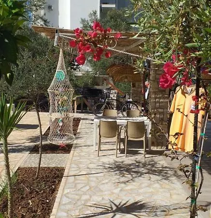 Guest House Solive-2