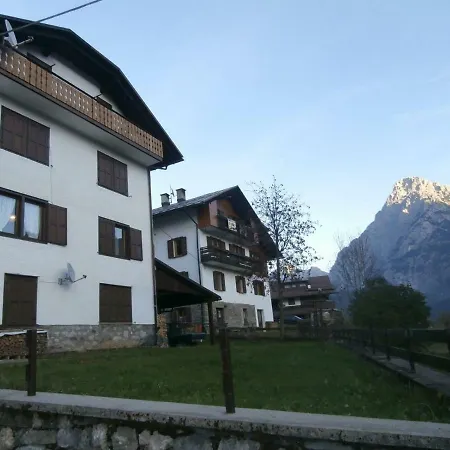 Flora Quinz-3