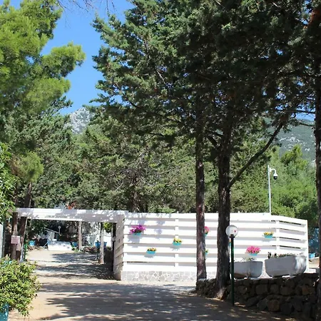 Camping Car Palmasera-3