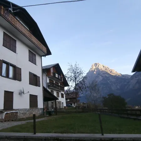 Flora Quinz-2