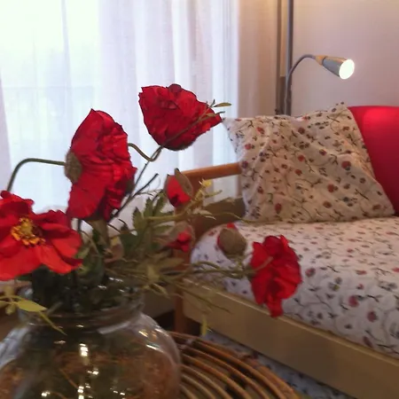 Residence Geranio-2