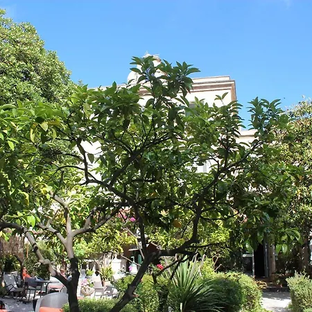 Hotel Les Palmiers-3