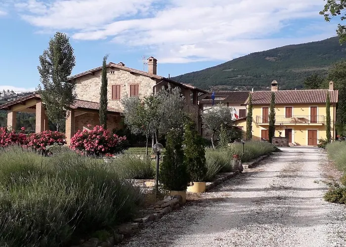 Sulla Strada Di San Francesco
