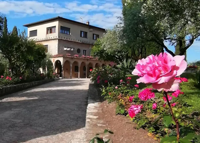 Family Hotel: Villa Paradiso