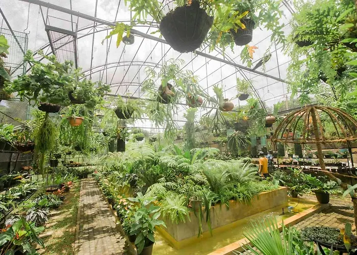 Family Hotel: Birds Resort Hambantota