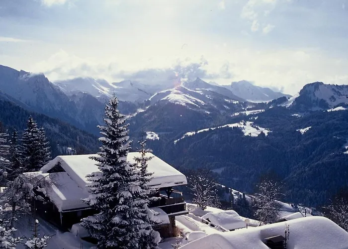 Les Chalets- De La Croix-Fry