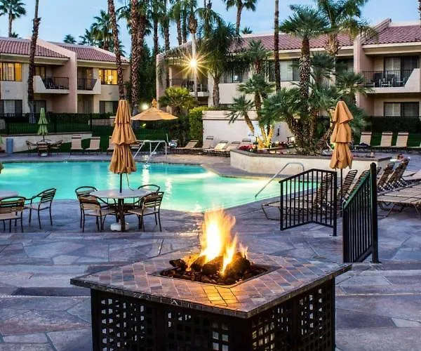 Desert Oasis Welk s