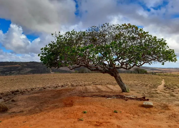Vila: Fazenda Terra Bonita