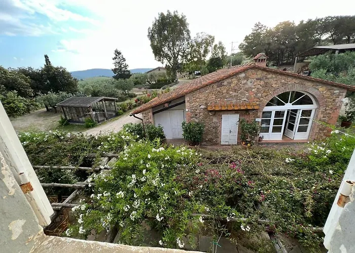 Baratti