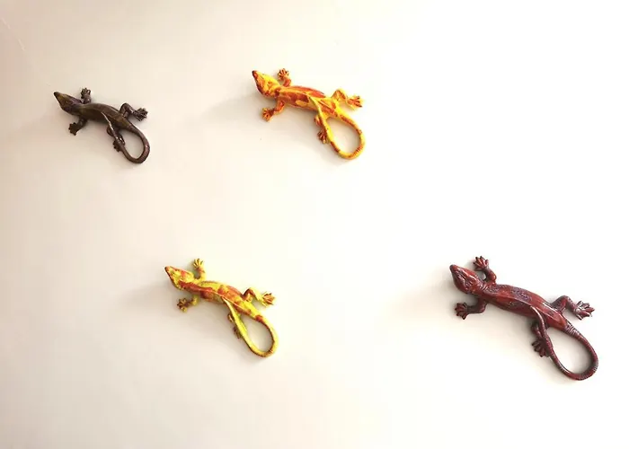 Finu Oporto Apartments