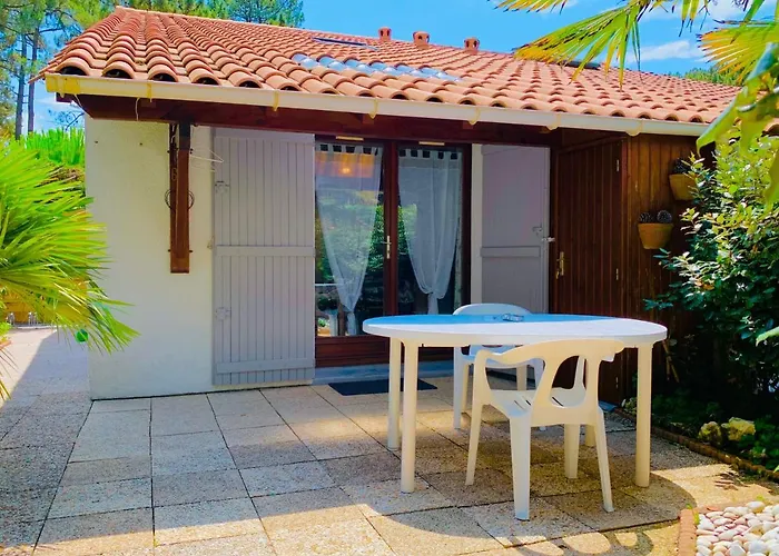  La Palmeraie   Villa résidentielle avec piscine