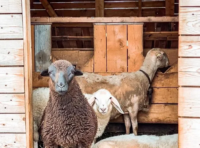 Agriturismo Dal Perotin