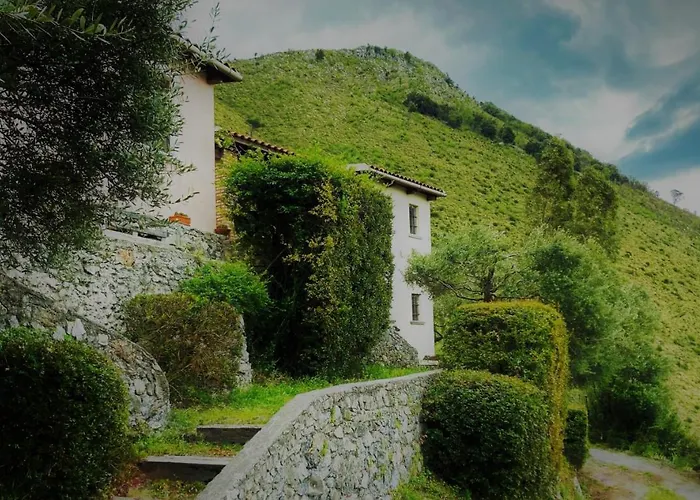 Agriturismo Nappi - Azienda Agricola Piano delle Vigne
