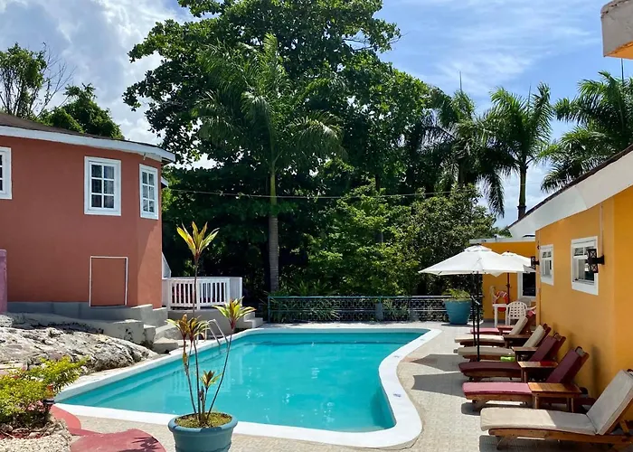 Blue Orchid B&B