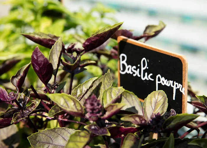 Hôtel romantique: Radisson Blu Hotel Nice