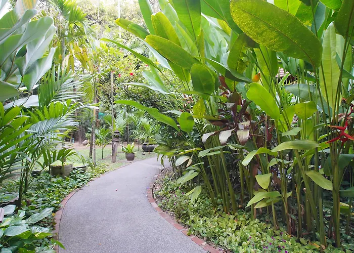 Yaang Come Village