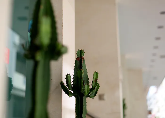 Exe Wellington