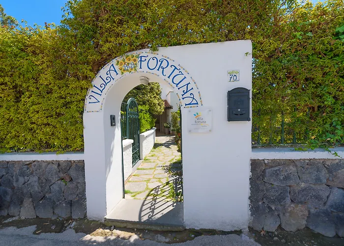  Fortuna Holiday