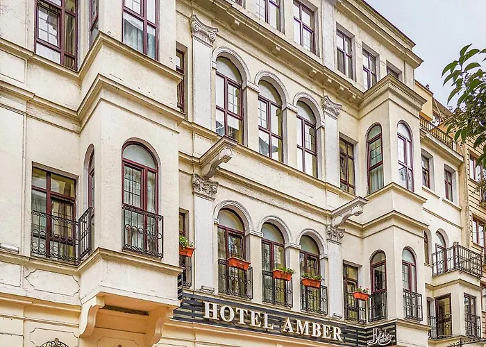 Hôtel pour familles: Amber Hotel & Spa