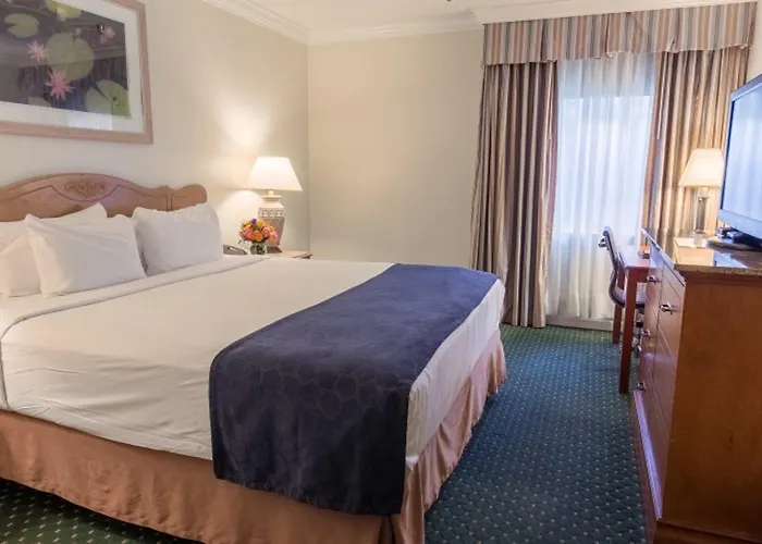 Hôtel de l'aéroport: Maison Dupuy Hotel