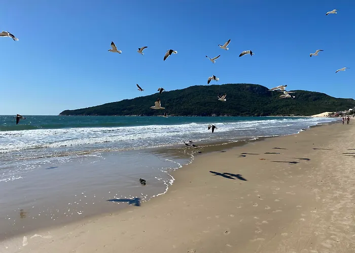 Hotel para famílias: Hotel&Pousada Favareto