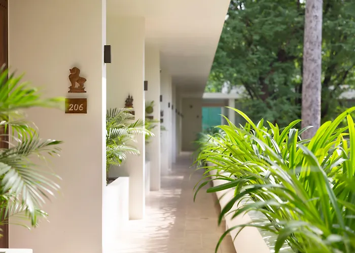 Fcc Angkor By Avani