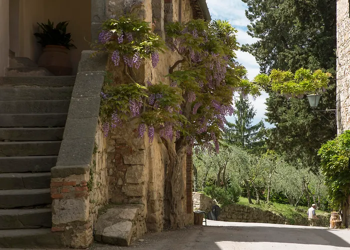 Castello Di Fonterutoli Wine
