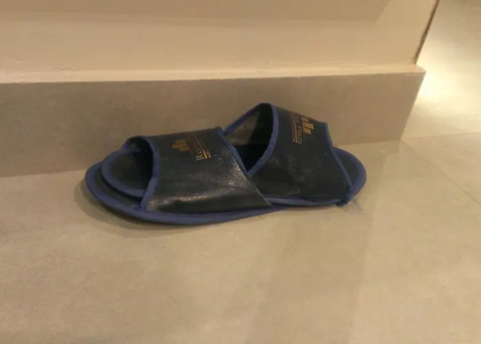 Luxury hotel only: Regent Plaza Hotel & Convention Center