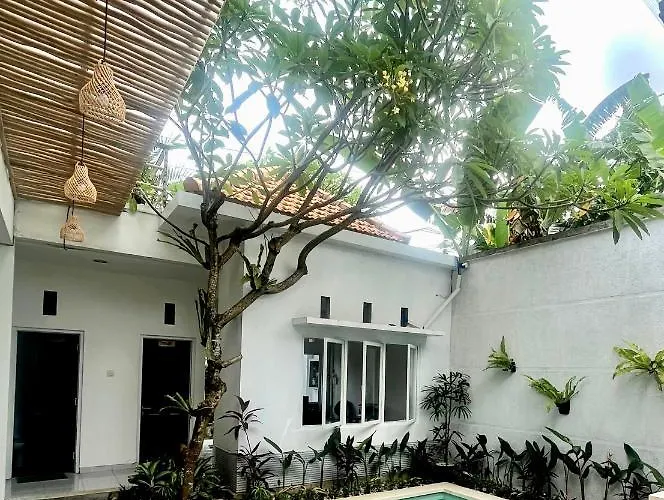 Herberg: Best Canggu Hostel