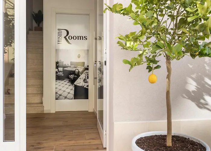 Hotel vicino al College: Trisina Rooms