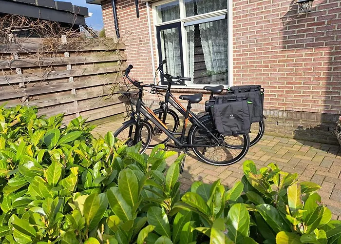 Levenslust Hulshorst