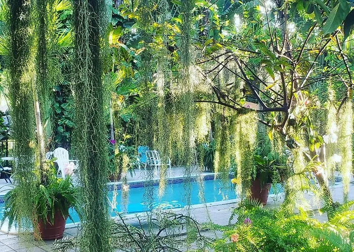 Guest house: Orchid Cottage