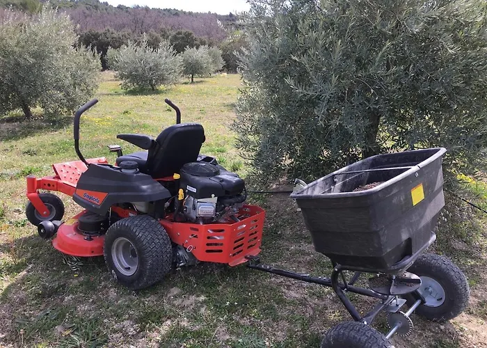 Ferme Oleicole Les Callis