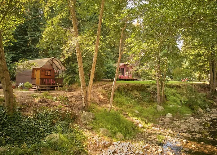 Hotel near College: Big Sur Campground And Cabins