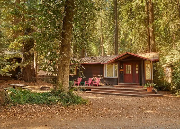 Campground And Cabins