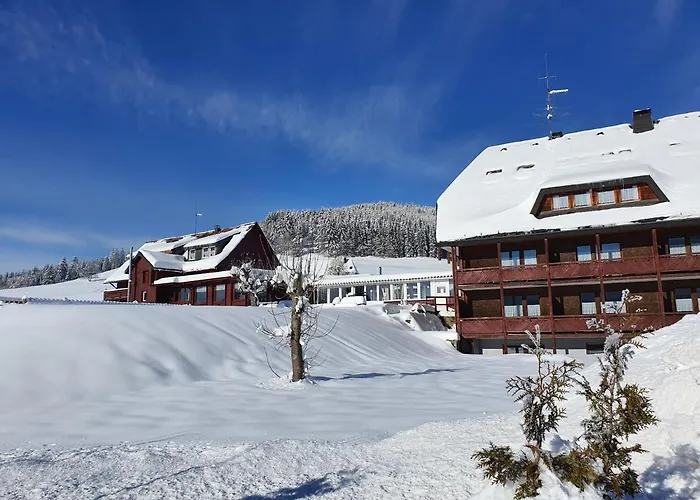 Spahotel: B Und B Titisee Hotel Sonnenmatte Nahe Badeparadies