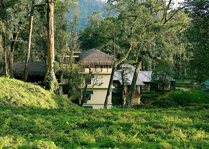 Luxury hotel only: Deep Woods Resort