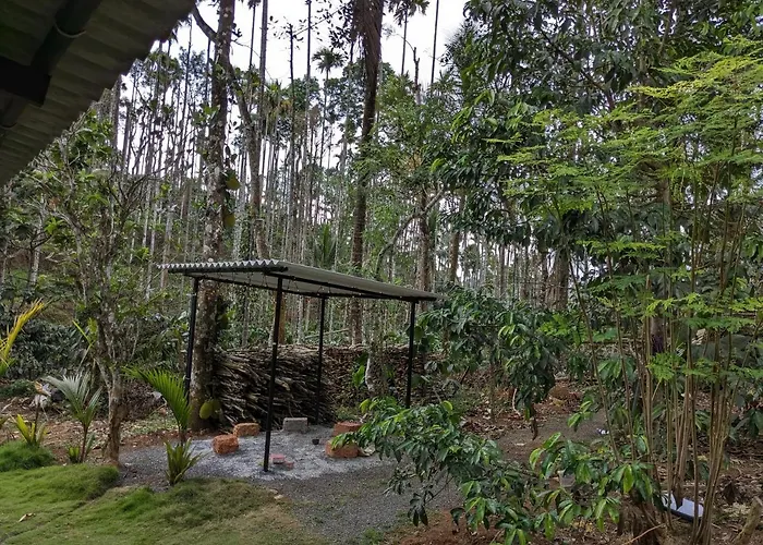 Multiple Stories, Wayanad