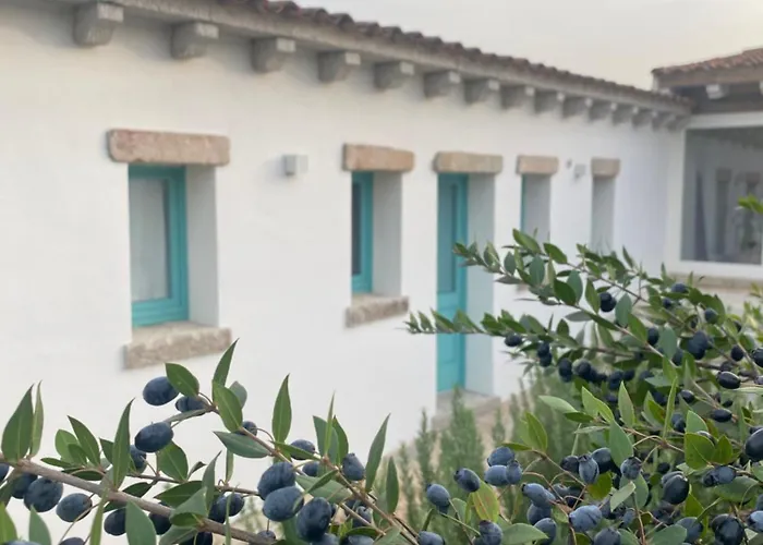  B&B Li Tauli