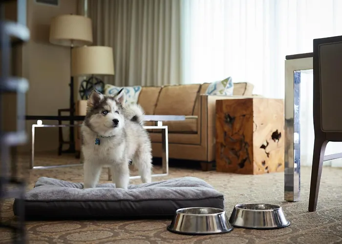 Hotel with view: Denver Marriott Westminster