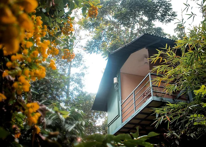 Hotel with view: Edens Munnar