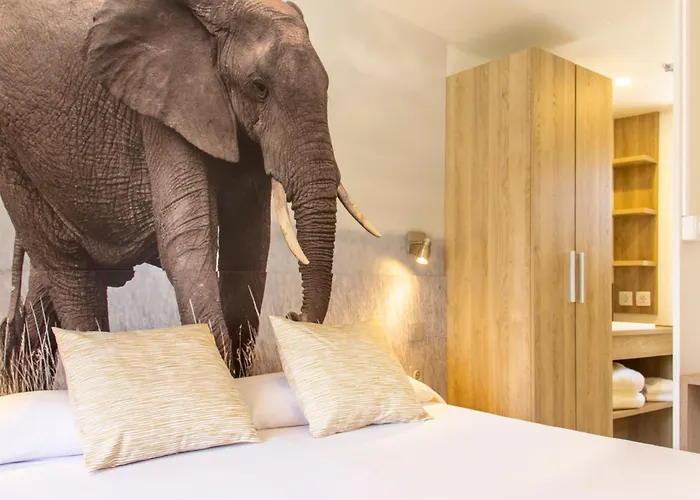 Resort: Sanguli Camping & Resort